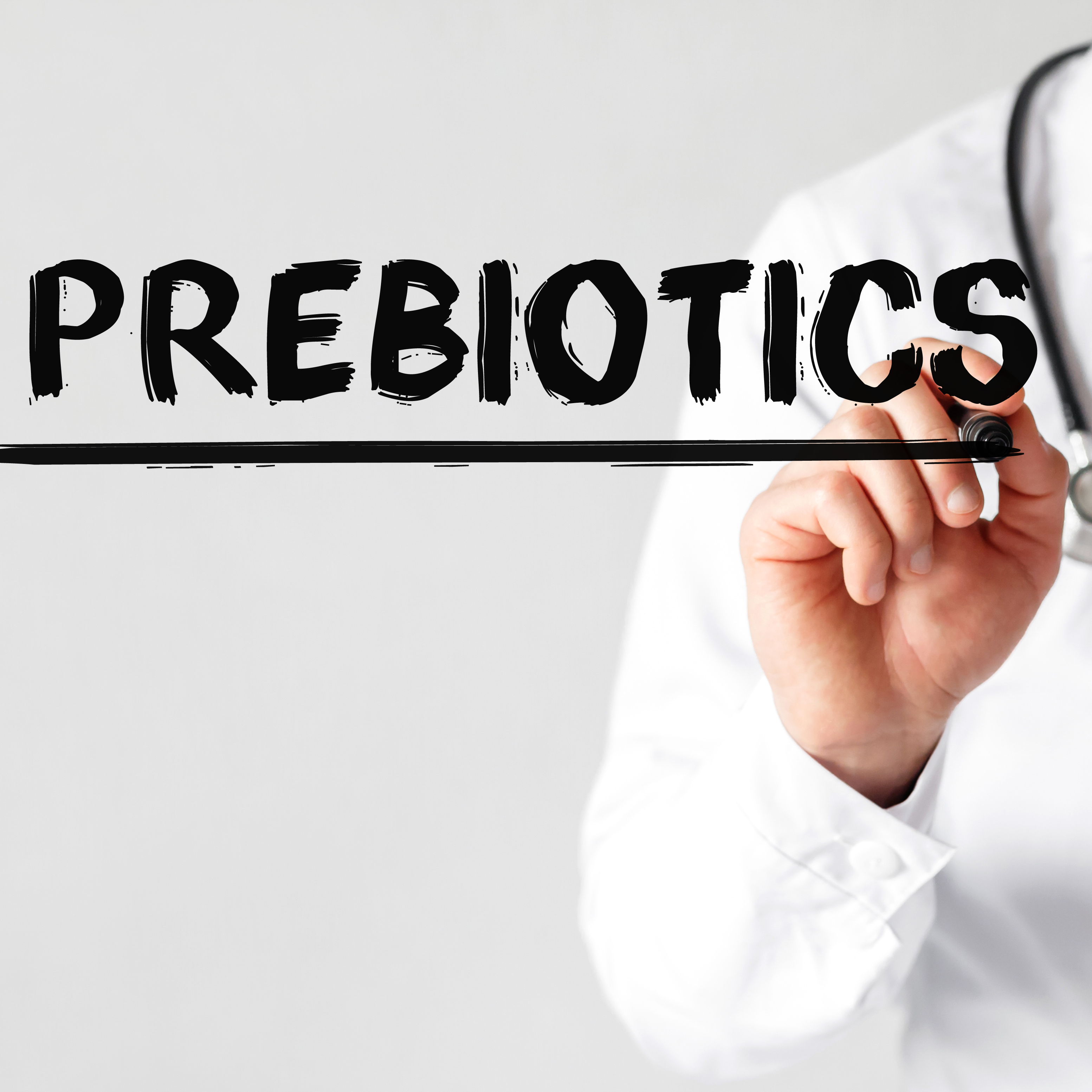 Doctor writing the word PREBIOTICS with a marker