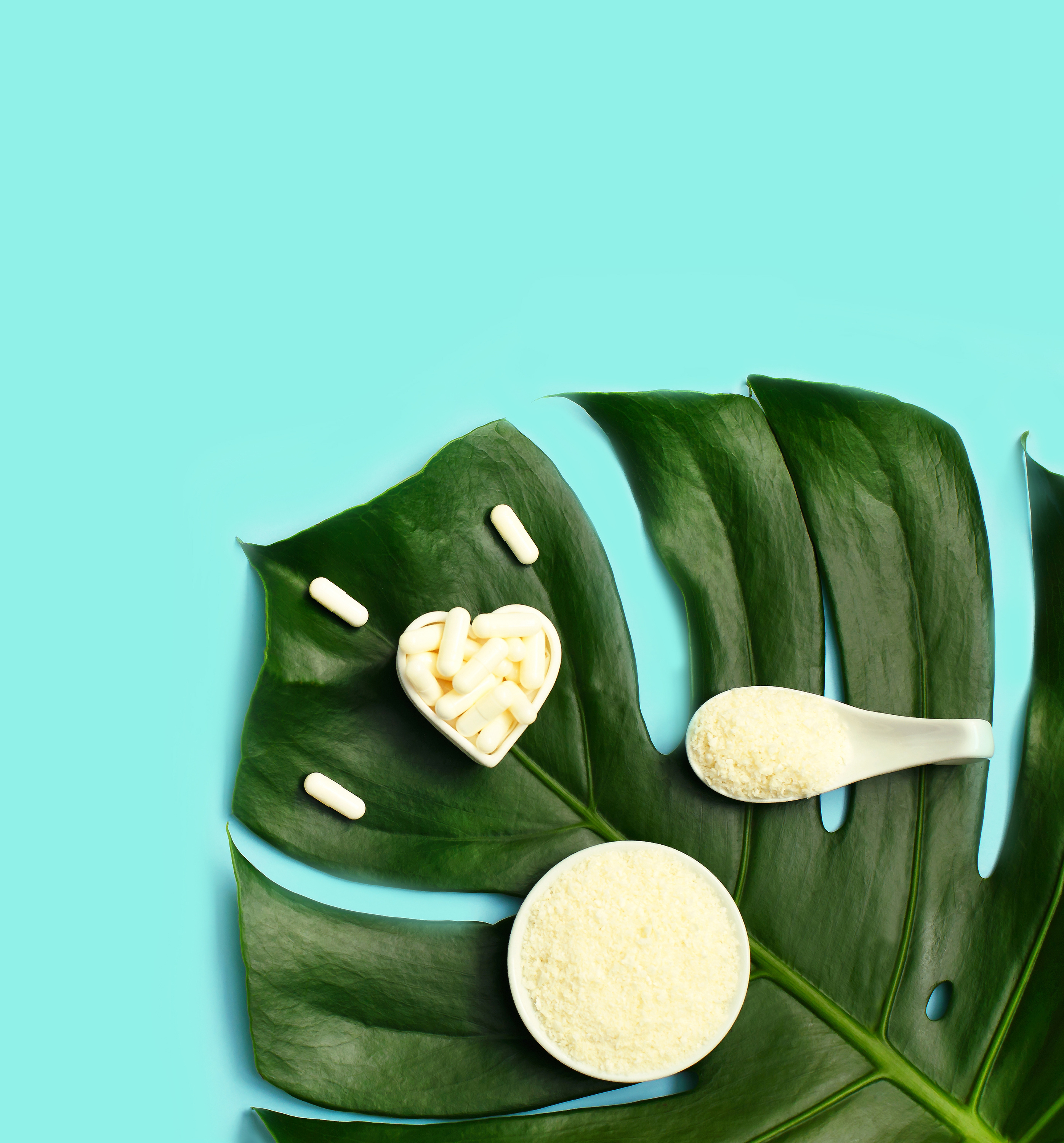 Collagen powder in a bowl on top of a palm leaf