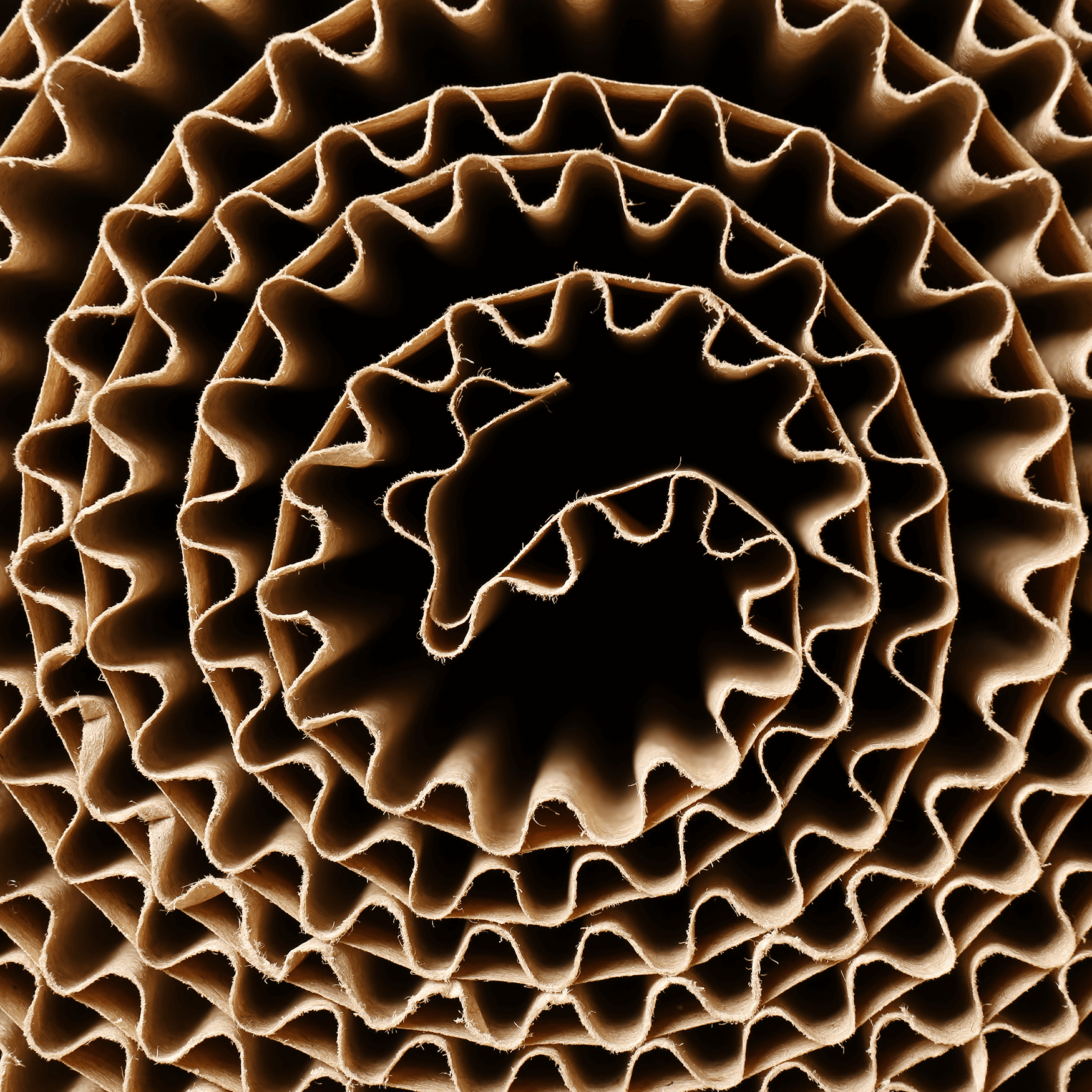 Roll of brown corrugated cardboard