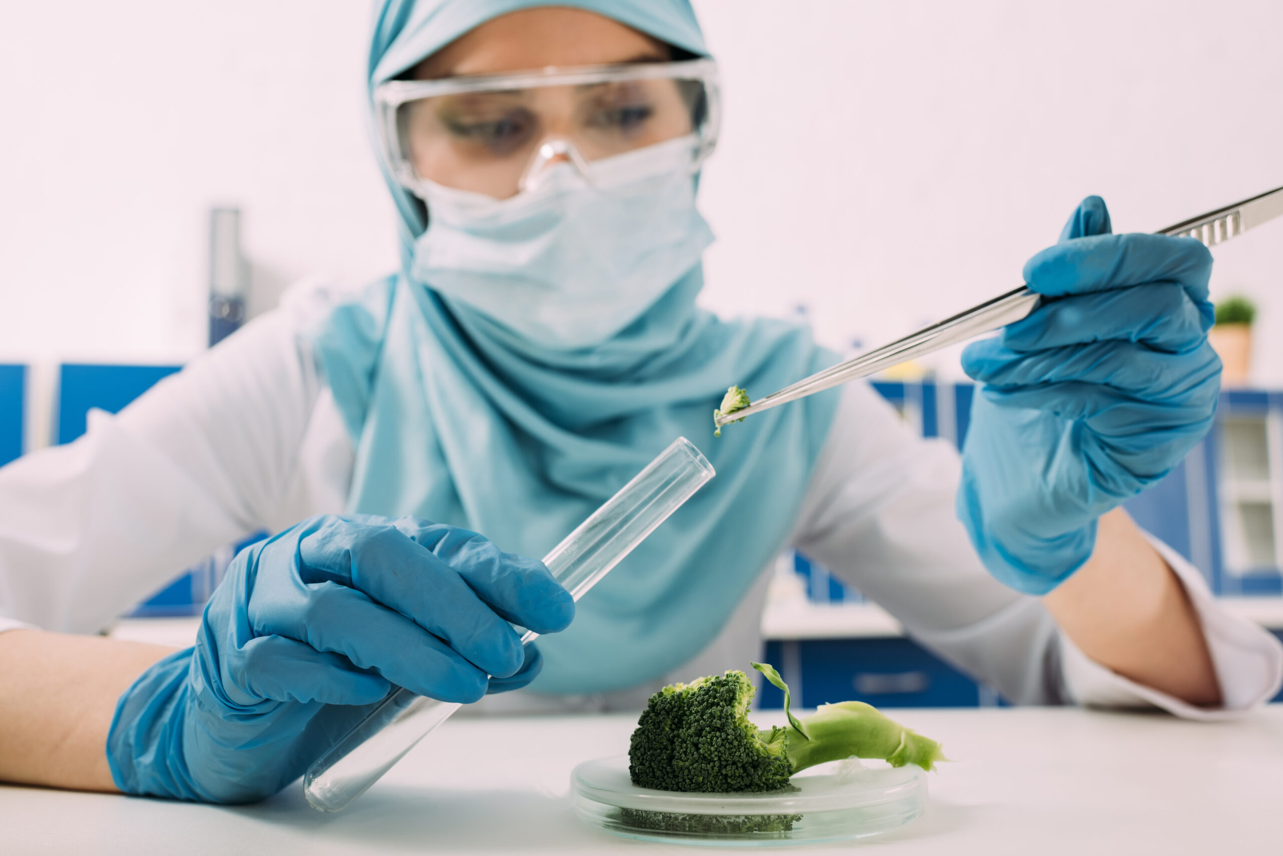 female muslim scientist putting broccoli sample into test tube during experiment in laboratory