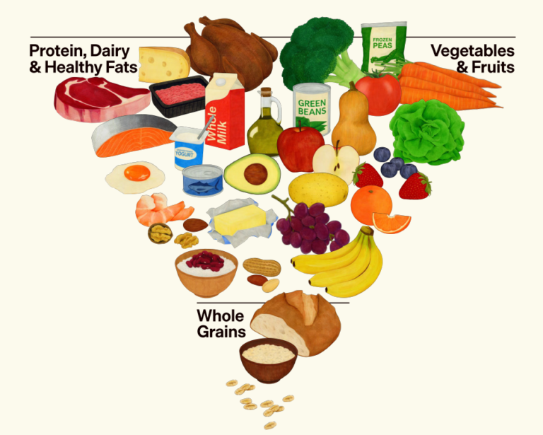 USDA MyPlate Guidelines